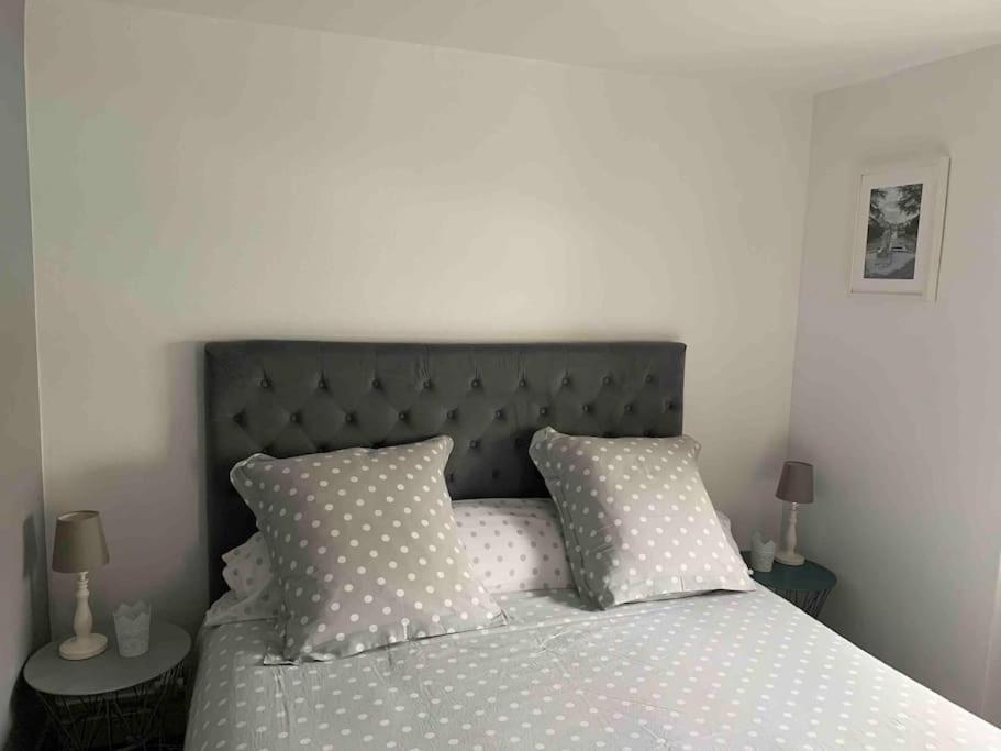 Joli T2 Jardin Parking Proche Gare Centre Ville 디종 외부 사진