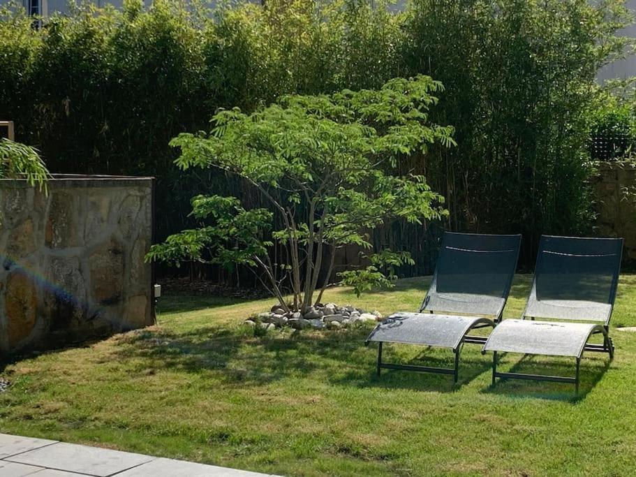 Joli T2 Jardin Parking Proche Gare Centre Ville 디종 외부 사진